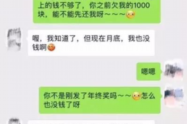 文水为什么选择专业追讨公司来处理您的债务纠纷？